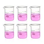 Heavy Duty Glass Beakers Set - 6 pcs 250ml