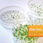 Sterile 90mm Plastic Petri Dishes with Lids - 120 Pack