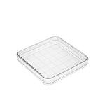 Othmro 100mm Plastic Petri Dishes - 10 Pack