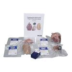 Carolina Mammalian Organ Dissection Kit with Slides