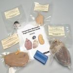 Carolina Mammalian Organ Dissection Kit with Slides