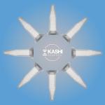 Kashi Scientific 1.5mL Safe Lock Centrifuge Tubes