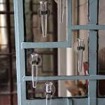 Healifty Clear Plastic Water Tubes with Suction Cups 8pcs