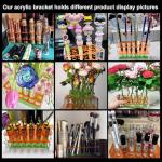 Colorful Acrylic Test Tube Holder with 16mm Wells