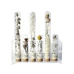 Acrylic Test Tube Holder Rack for 6 Tubes