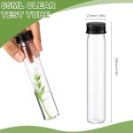 80 Pcs Clear Flat Plastic Test Tubes with Caps
