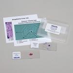Animal Cells Microscope Slide Set by Carolina