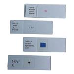 Human Blood Smear Microscope Slide with Wright's Stain