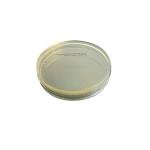 ULTECHNOVO Prepoured Potato Dextrose Agar Plates
