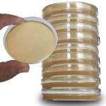 ULTECHNOVO Prepoured Potato Dextrose Agar Plates