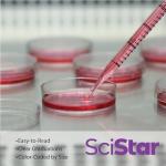 25mL Graduated Serological Pipettes - Pack of 100