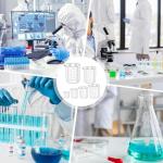 Set of 6 Graduated Plastic Beakers for Labs