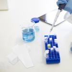 Chromatography Paper Strips: 500 Absorbent Sheets