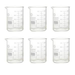 Glass Beaker Set 250ml - 6 Pieces