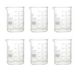 Glass Beaker Set 250ml - 6 Pieces