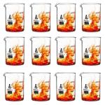 EISCO Premium Low Form 250 mL Beakers, 12 Pack
