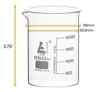 EISCO Premium Low Form 250 mL Beakers, 12 Pack