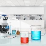 Yarlung Glass Beaker Set with Handle, 500/1000ml