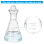 100ml Borosilicate Erlenmeyer Flask with Stopper