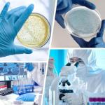 500 Sterile Plastic Petri Dishes with Vents