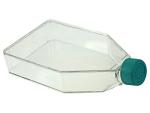 Nest Scientific Polystyrene Cell Culture Flasks, 5 Pack