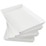 Acrylic Serving Trays Set of 4 - 15" x 10