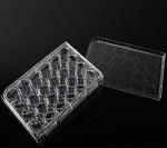 24 Well Plates with Lid, Flat Bottom (12 Pack)
