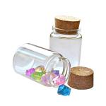 2 Pack Clear Glass Vials with Cork Stopper