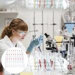 Mipcase Beaker Drying Rack for Labs