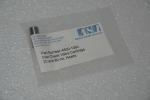 ASI A500-1060 Inlet Check Valve Cartridge