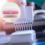 200ul Universal Pipette Tips - Clear, DNase/RNase Free