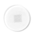 0.2 mm Microscope Eyepiece Micrometer Ruler Slides