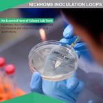 Reusable Inoculating Loop with Nichrome Needle Tip