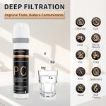 Under Sink Water Filter System with Stainless Steel Faucet