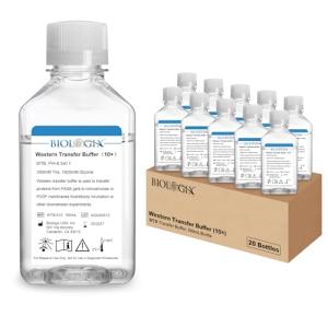 Western Blot Transfer Buffer, 500mL Bottle, 10×