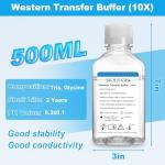 Western Blot Transfer Buffer, 500mL Bottle, 10×