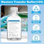Western Blot Transfer Buffer, 500mL Bottle, 10×