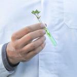 50 Clear Plastic Test Tubes with Caps - 50pcs