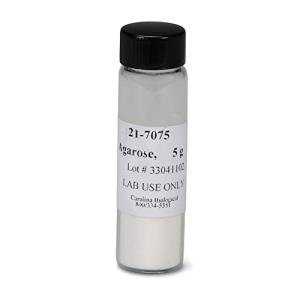 5g Low EEO Agarose for Electrophoresis