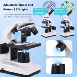 High-Power Compound Microscope for Students & Home
