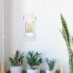 Acrylic Wall-Mounted Glove and Mask Dispenser