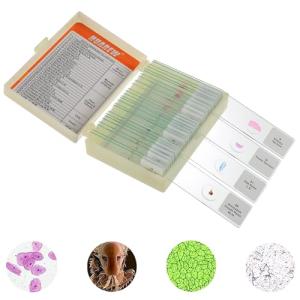 30 Microscope Slides Set with Specimens for Kids