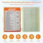 30 Microscope Slides Set with Specimens for Kids