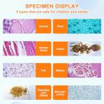 30 Microscope Slides Set with Specimens for Kids