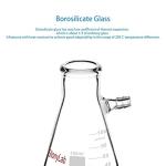 StonyLab 100ml Borosilicate Glass Filtering Flask