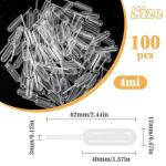 100 Disposable Plastic Pipettes for Cupcakes & More