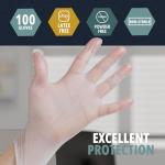 Powder-Free PVC Exam Gloves, Large - 100 Count
