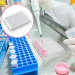 48-Well Tissue Culture Plates with Lids (5-Pack)