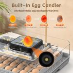 48-Egg Automatic Incubator for Home and Farm