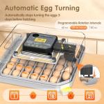 48-Egg Automatic Incubator for Home and Farm